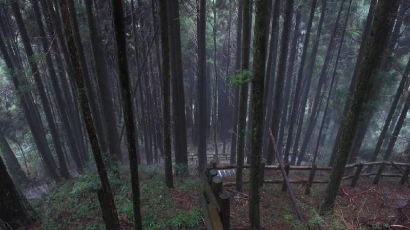 台湾放假好去处:绝美私房秘境一次公开!