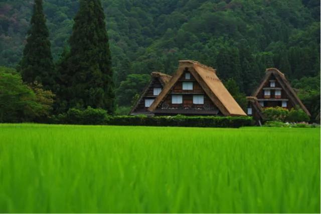 日本的最美村庄 比童话还梦幻!图集
