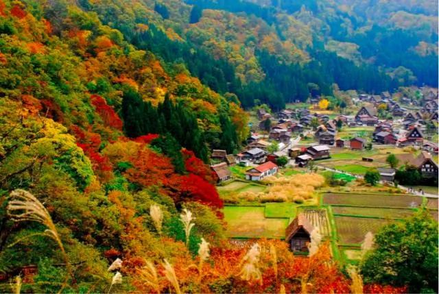 日本的最美村庄 比童话还梦幻!图集