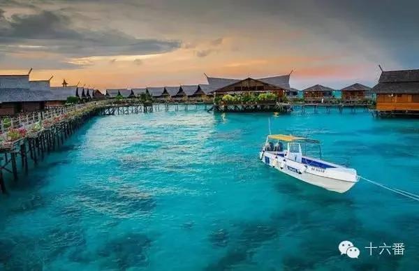 去这7个海岛浮潜 你一定可以看到大海龟