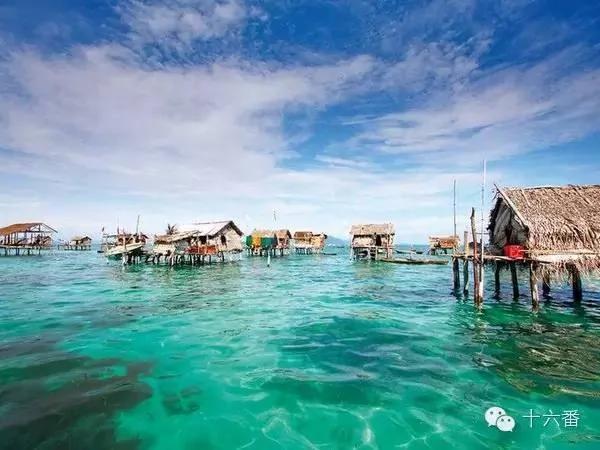去这7个海岛浮潜 你一定可以看到大海龟