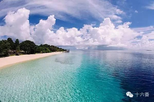 去这7个海岛浮潜 你一定可以看到大海龟