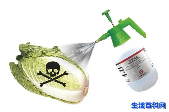 “甲醛”泡白菜是行业潜规则?冬季选白菜需警惕