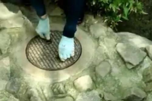 浣熊出逃?保育员一到…大家都笑翻啦