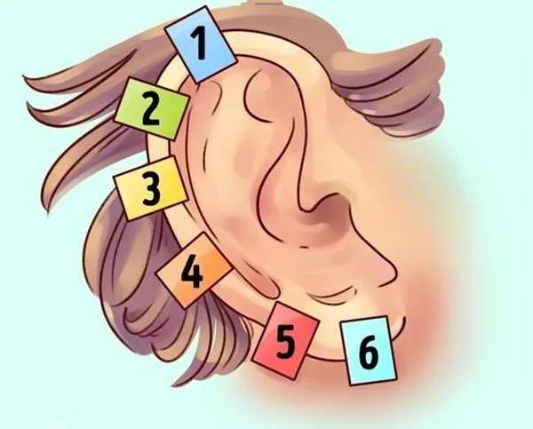 耳朵除了用来“听”外 还能看出你的“命运” 以及“健康状况” 实在太惊人了!