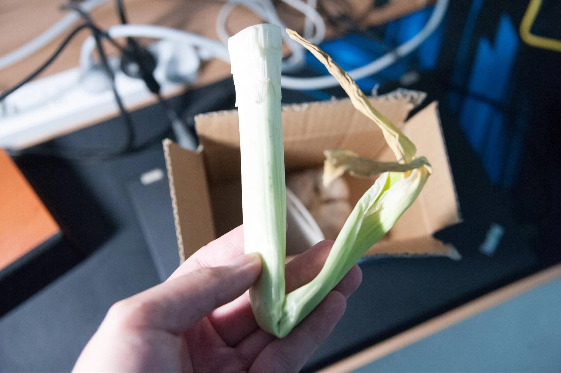 理工男寄巧克力表白 被回寄1葱1蒜