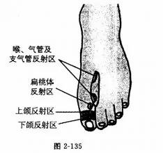 脚上的生命密码 人手一份 建议收藏!