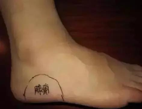 脚上的生命密码 人手一份 建议收藏!