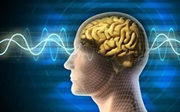 科学家找到跟“脑死植物人”交谈的方法 但植物人的回答让大家都沉默了!