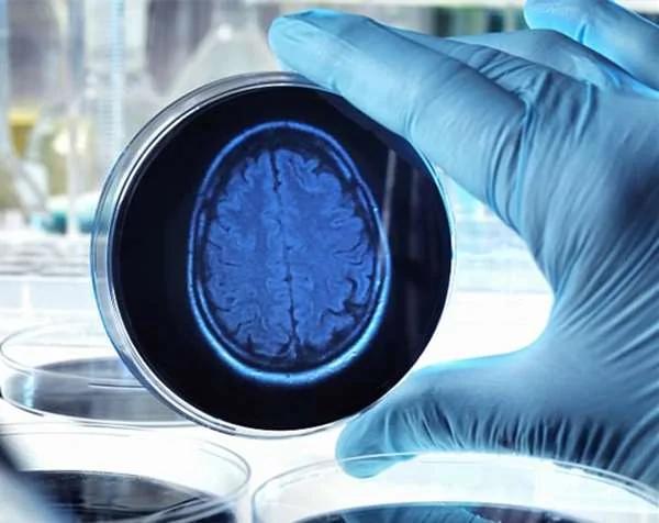 科学家找到跟“脑死植物人”交谈的方法 但植物人的回答让大家都沉默了!
