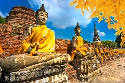 有钱也不能任性!出国旅游可携现金有限制