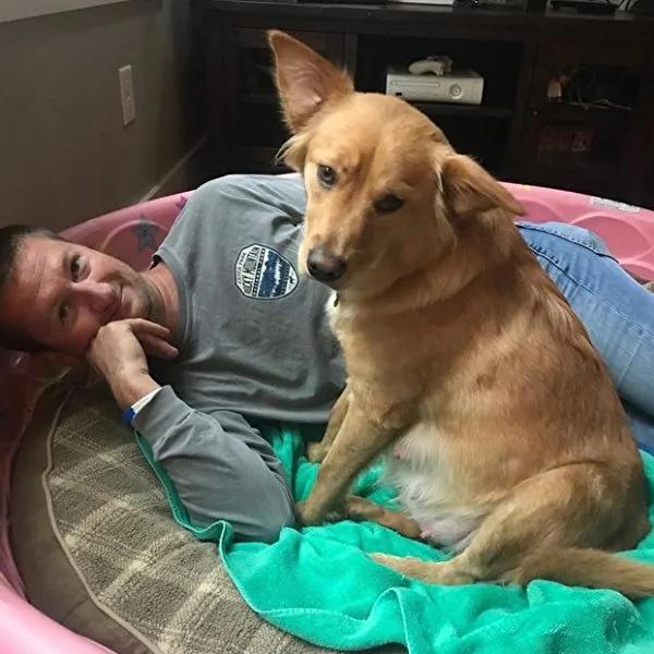 黄金猎犬生下奇异后代 一窝“奶牛”让新主人惊呆!