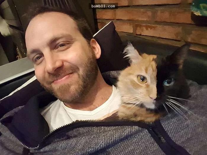 万中选一的绝美猫咪像是“2只猫咪的合体” 网友看呆!