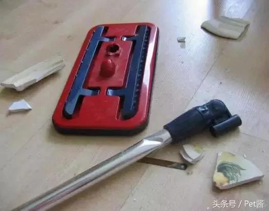 哈士奇犯错后自己关笼子 主人被二哈十秒关笼的举动笑哭!