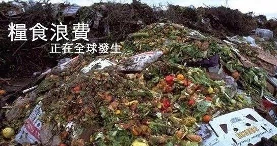 90后男孩把6吨剩菜变成旗袍 轰动了整个香港