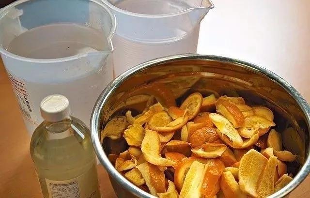 90后男孩把6吨剩菜变成旗袍 轰动了整个香港