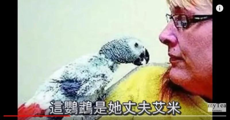 瑞士男子死后转世成鹦鹉与妻子再相聚!真有轮回?