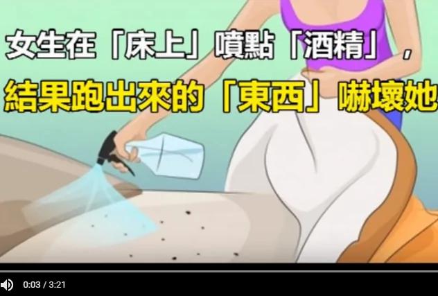 她在床上喷了一点酒精,结果跑出来的东西把她吓坏!