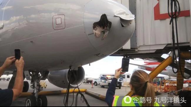 美国客机空中撞上一东西!降落一看惊呆