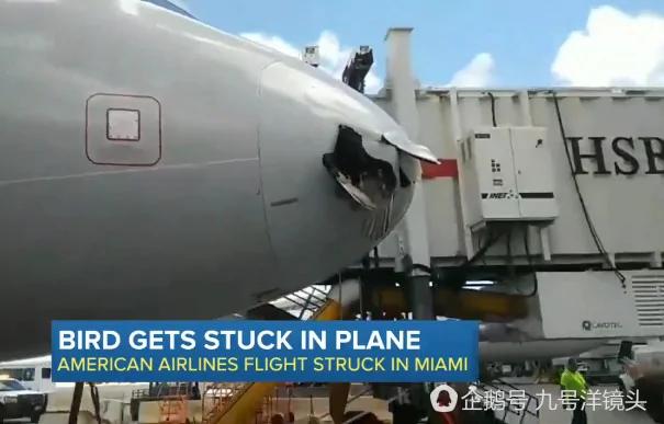 美国客机空中撞上一东西!降落一看惊呆