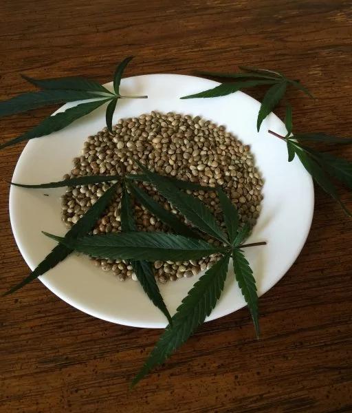 50岁以上的男性注意 出现这6个症状 可能是脑血栓!用心留意能躲过鬼门关