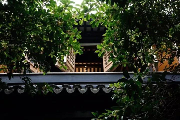 中国历史上唯一富过15代的家族:他们住的房子这样