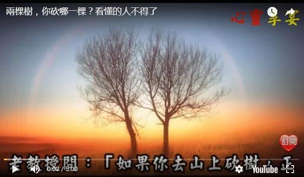 两棵树你砍哪一棵?看懂的人不得了!
