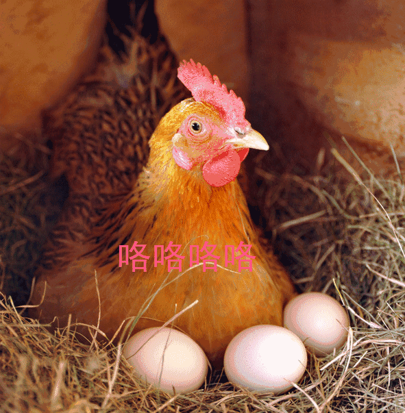 宽容别人 就是肚量!谦卑自己 就是份量!