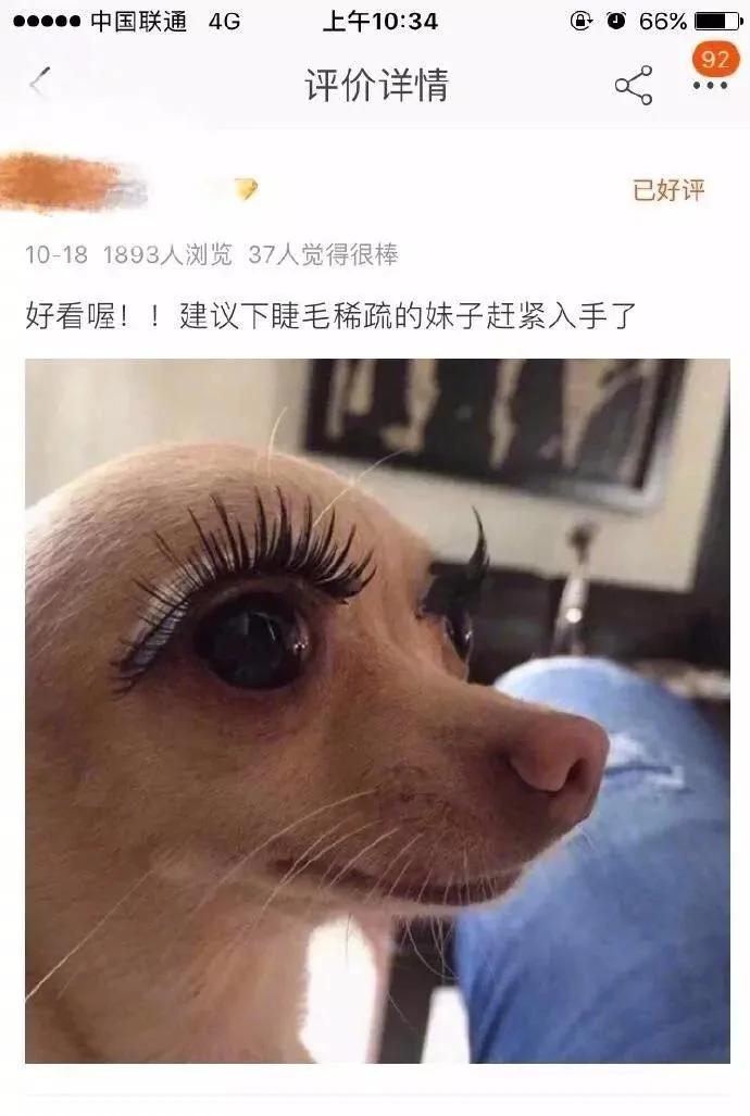 双11后又一波买家秀曝光看完有点坐不住了
