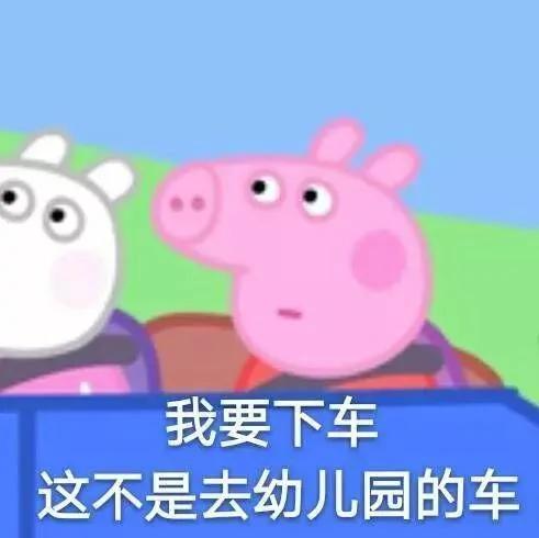 双11后又一波买家秀曝光看完有点坐不住了