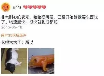 双11后又一波买家秀曝光看完有点坐不住了