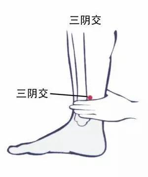 穴位养生法来了 一个穴位解决一种病