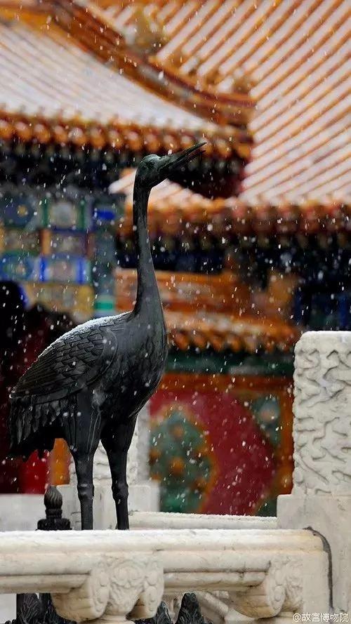 这些图片告诉你 你从未真正走进过故宫