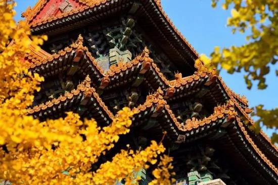 这些图片告诉你 你从未真正走进过故宫