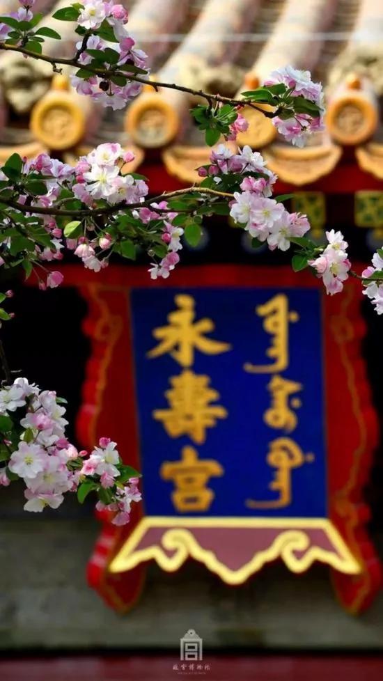 这些图片告诉你 你从未真正走进过故宫