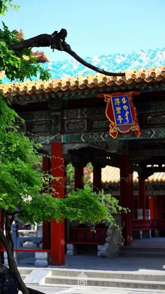 这些图片告诉你 你从未真正走进过故宫