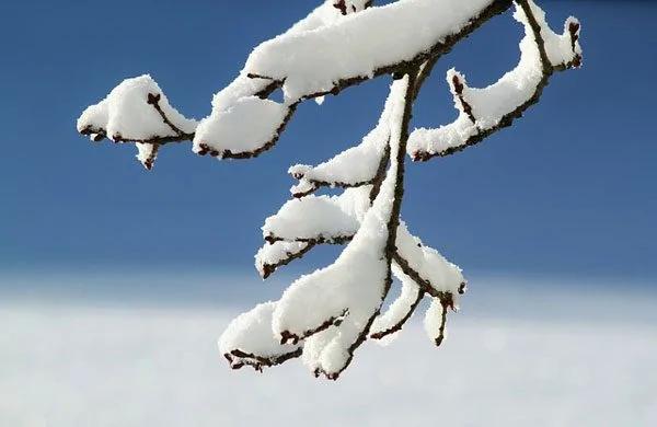 今日小雪 你要知道的养生攻略 一冬不生病!