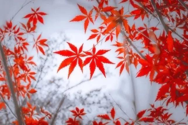 逃离北上广 在最有味道的老街慢游