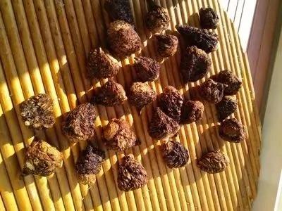 冬虫夏草、白藜芦醇…这9种东西没有那么神