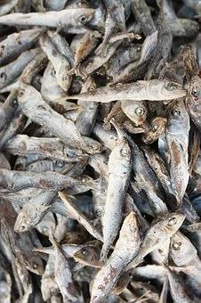 盘点世卫公布最新致癌物清单 立即签收!