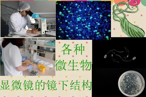 盘点世卫公布最新致癌物清单 立即签收!