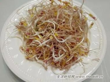 马克杯生豆芽 轻松做出韩式豆芽菜