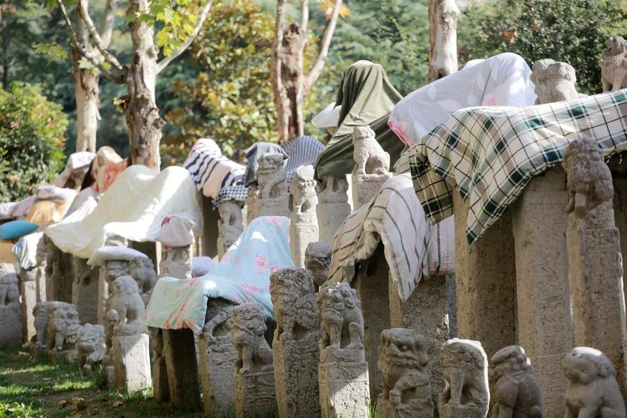 西安高校现独特晒被子法 拴马桩上搭满被子