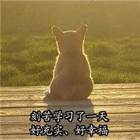 外国人眼中的汉字啥样?瑞典小哥脑洞大开