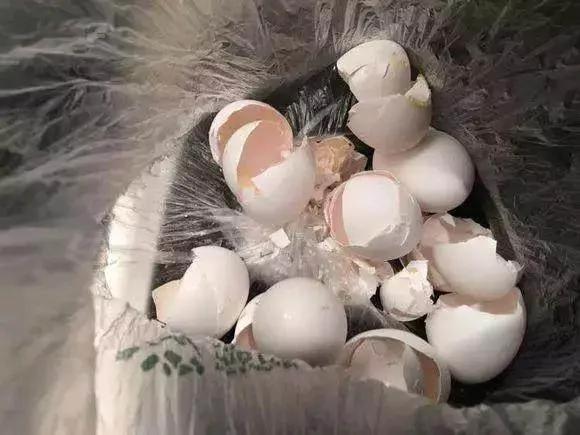 养花最怕烂根了 来一把它 根部长得都要撑破盆