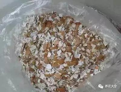 养花最怕烂根了 来一把它 根部长得都要撑破盆