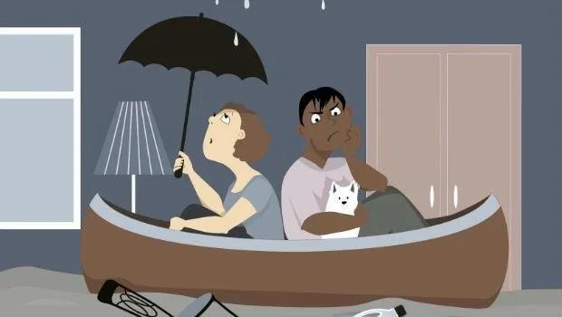 雨一直下 家里超级潮湿?这4个小物堪称“天然除湿机” 放着就能吸湿气