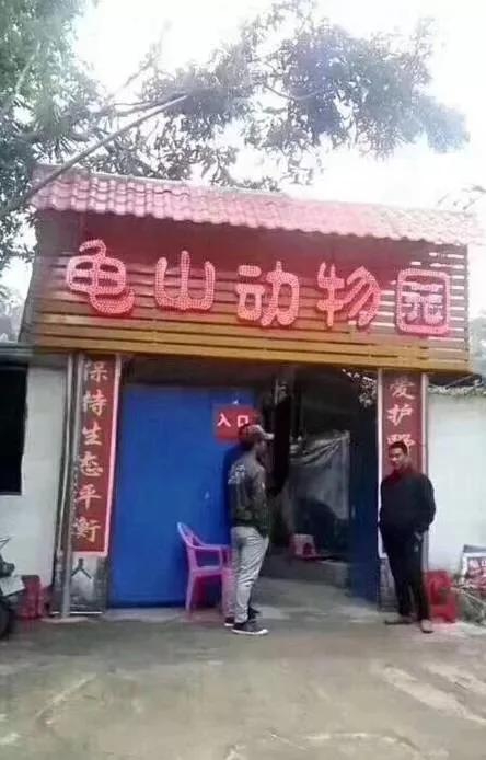没眼看!广西这家动物园要逆天 画风清奇笑哭网友