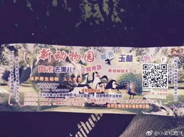 没眼看!广西这家动物园要逆天 画风清奇笑哭网友