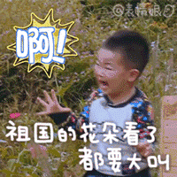 没眼看!广西这家动物园要逆天 画风清奇笑哭网友